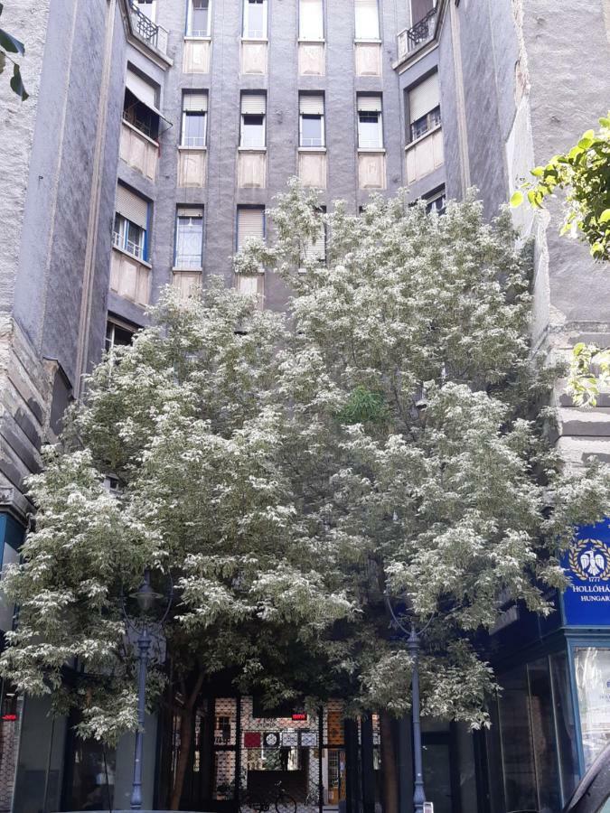 Wanderer 3 Daire Debrecen Dış mekan fotoğraf