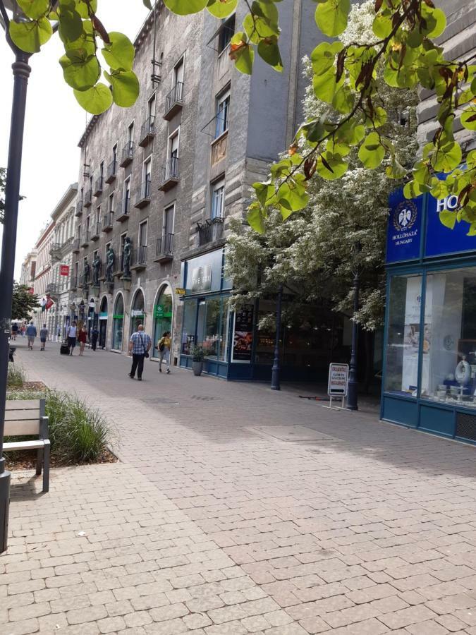 Wanderer 3 Daire Debrecen Dış mekan fotoğraf
